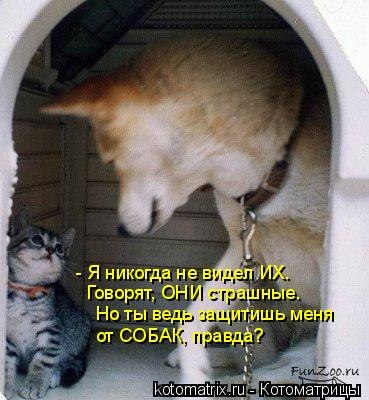 UR4ZMZGdc7Q.jpg