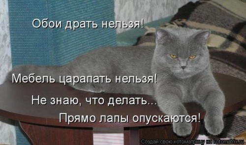 YPA8HiIzTNs.jpg