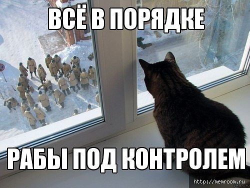 3.jpeg