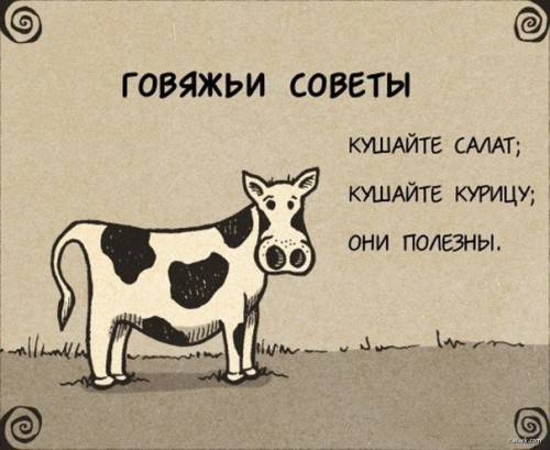 P_Voa7o5niI.jpg