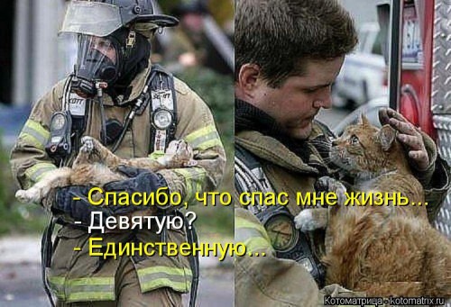 kotomatritsa_1H.jpg