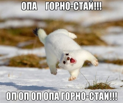 FinC7ZMuxEk.jpg
