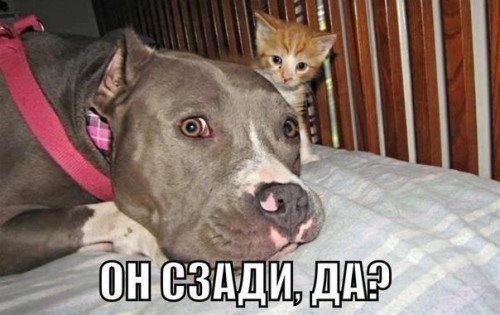 nU3m2vVyhqk.jpg
