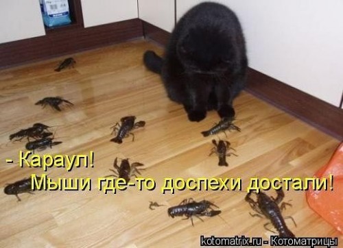 http://gbutler.ru/forum/download/file.php?id=17364&amp;t=1