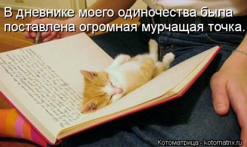 kotomatritsa_j.jpg