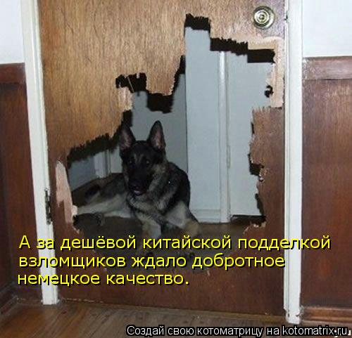 kotomatritsa_JY.jpg