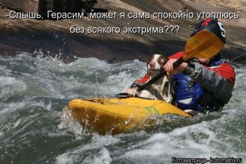 kotomatritsa_Mo.jpg