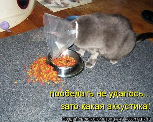 347675.jpg
