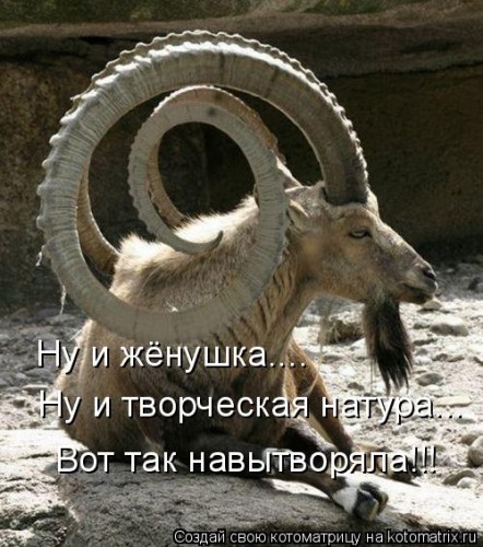831153.jpg