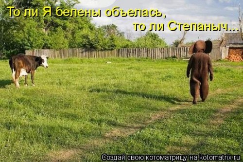 1043682.jpg