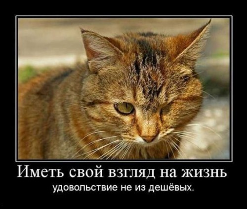 v26.jpg