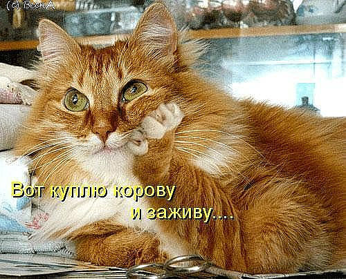 v24.jpg