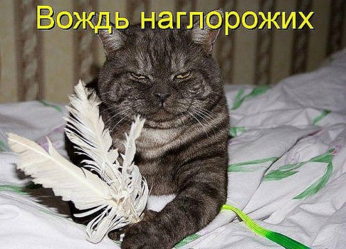 v23.jpg