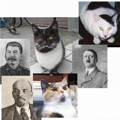 v21.jpg