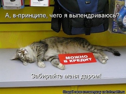 v17.jpg