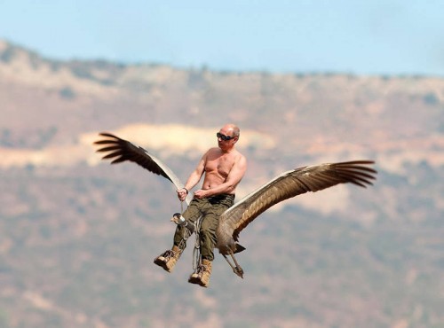 v13.jpg