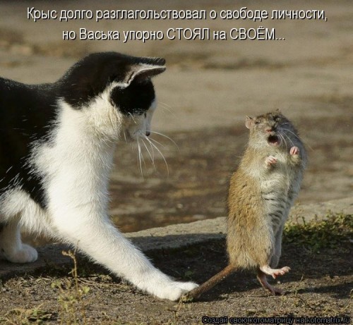 kotomatritsa_By.jpg