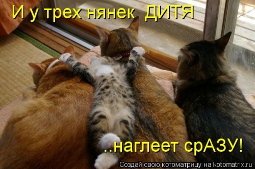 kotomatritsa_NV.jpg