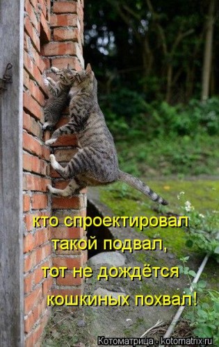 kotomatritsa_U.jpg
