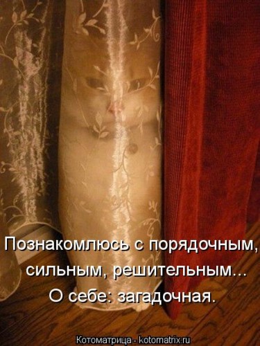 kotomatritsa_xj.jpg