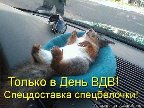kotomatritsa_Xq.jpg