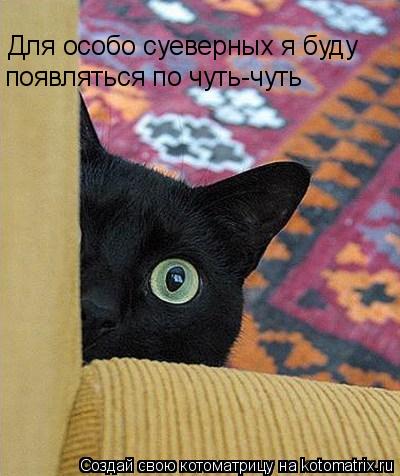 403349.jpg