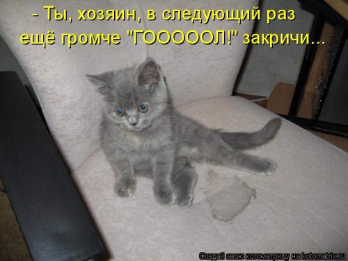 616085.jpg