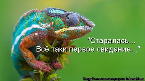 959356.jpg