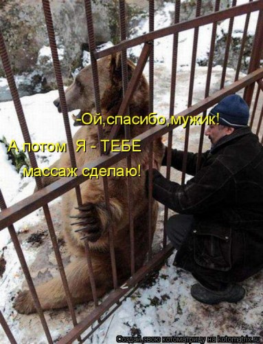 1085737.jpg
