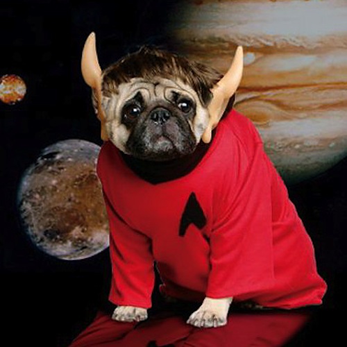 spock-pug.jpg