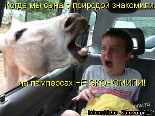kotomatritsa_KR.jpg