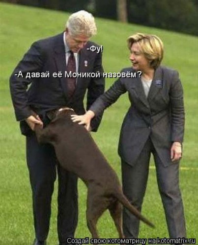 412929.jpg