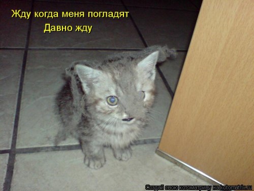 833327.jpg