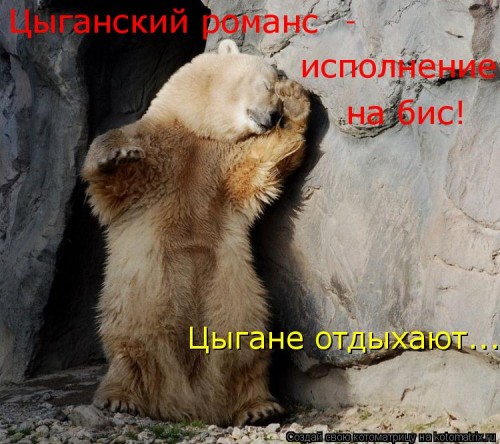359132.jpg