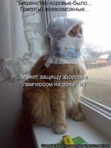 555222.jpg