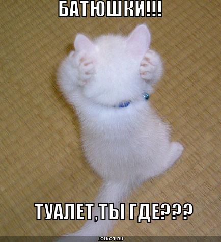 tualet-ty-gde_1320813033.jpg