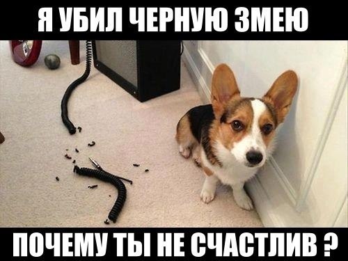 -5yTyXYk0jo.jpg