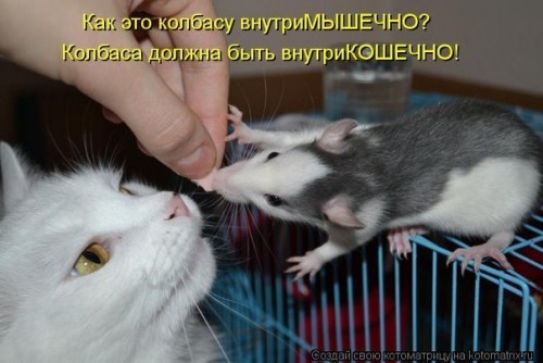 hnnaqxdyTi8.jpg