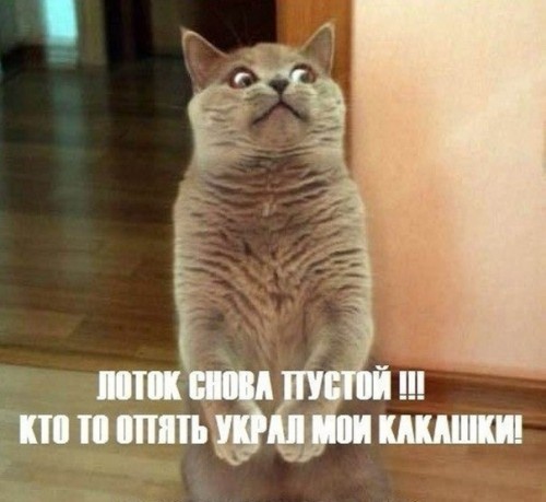nkn3RuOR6Qg.jpg