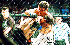 tumblr_inline_miff97r2Du1r255kz.gif