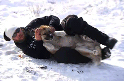 tumblr_mj1k0sunVv1qapcnno2_250.gif