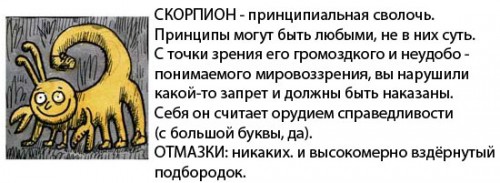 image8.jpg