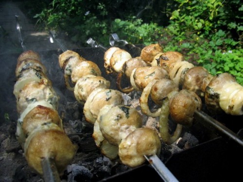 shashlik_2008_027.jpg