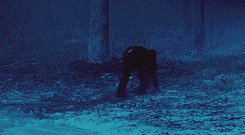 tumblr_mdt33hBF651qaho1po6_250.gif