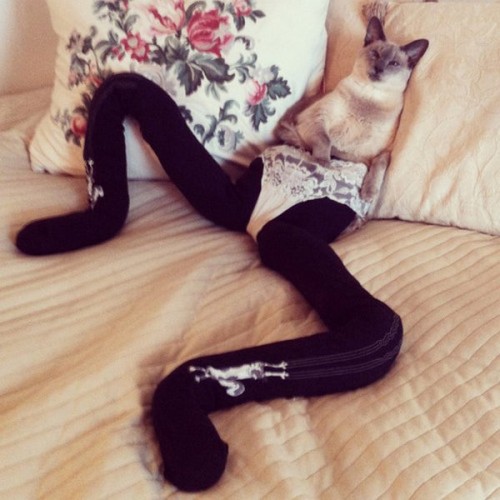 tights-wearing-01.jpg