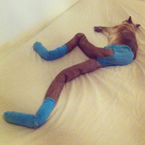 tights-wearing-03.jpg