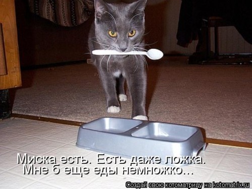 kotomatritsa_9t.jpg