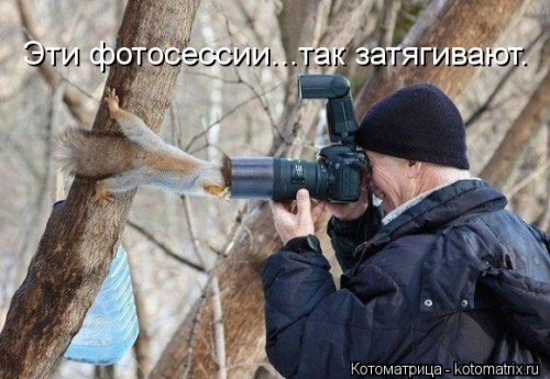 kotomatritsa_G7.jpg