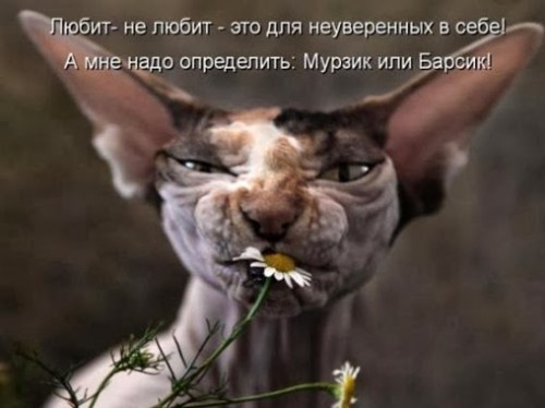 58668dfb16affff3b695b55f098_prev_thumb[4].jpg