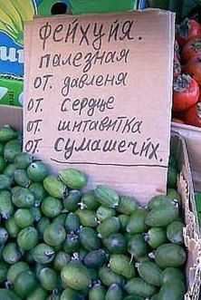 b77f6bd6a45b1896288f101eedaba729_m1.jpg